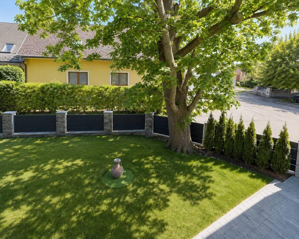 Gepflegter Gartenbereich mit Rasen, altem Baum und Hecke, bietet viel Grün und Schatten.
