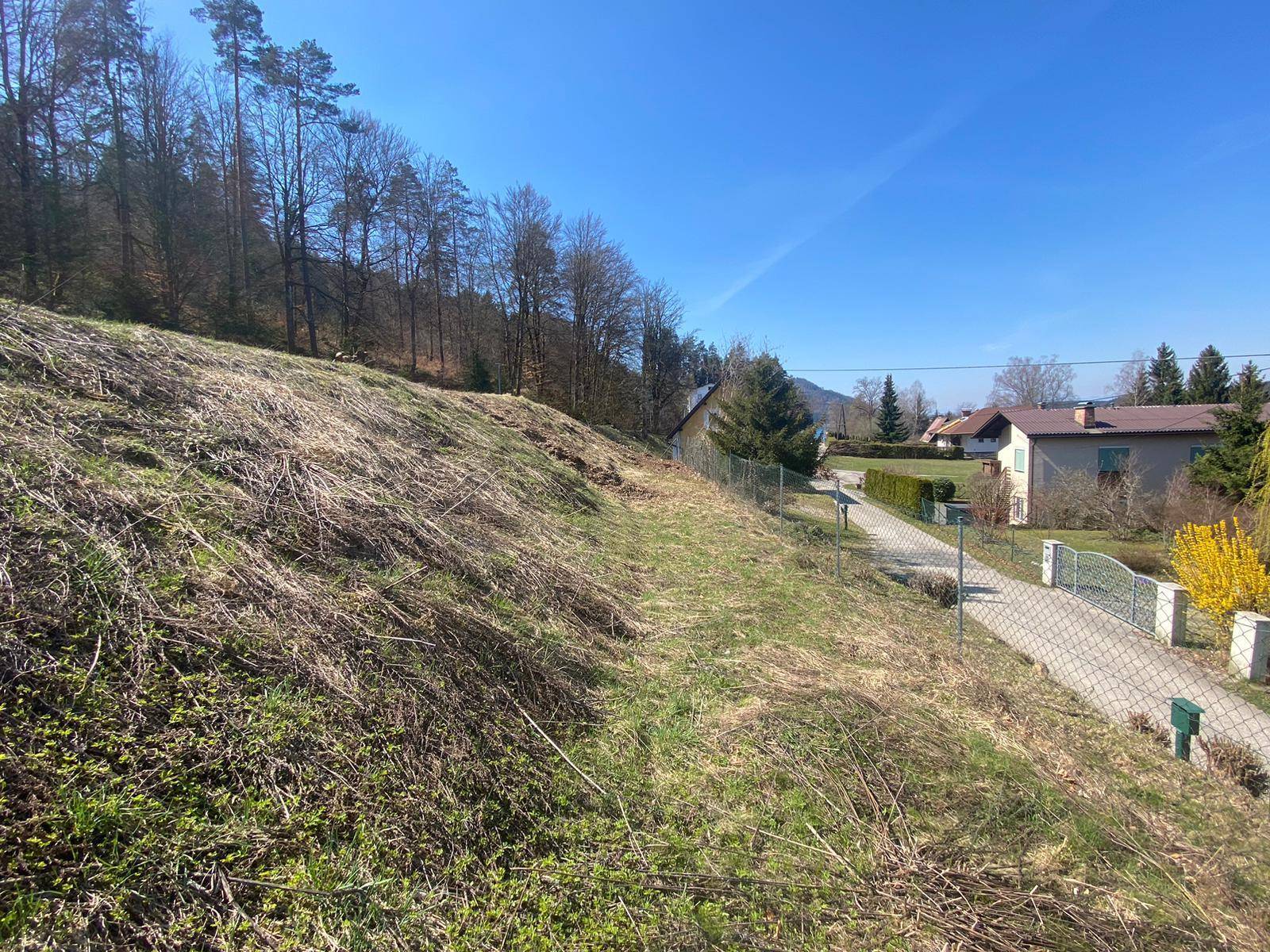 Hanglage des Grundstücks mit Zaun, angrenzendem Wald und Blick auf benachbarte Häuser.