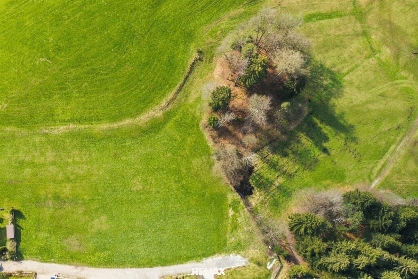 Detaillierte Luftaufnahme von weitläufigen grünen Wiesen und einem kleinen Waldstück in der Natur.