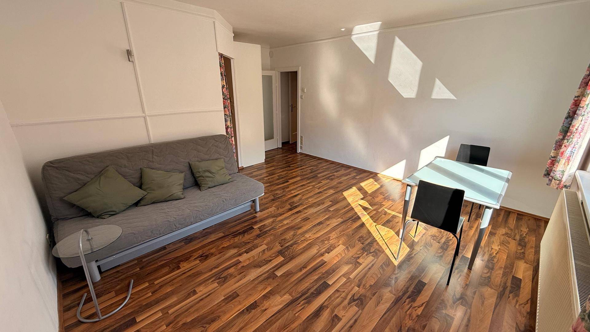 Geräumiges Wohnzimmer mit Schlafsofa, Esstisch und viel Tageslicht durch die Fenster.