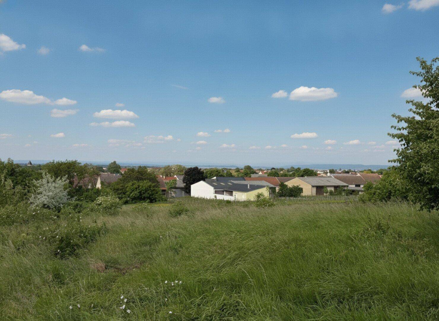 Blick über eine weite Wiese auf eine Siedlung mit verschiedenen Häusern unter blauem Himmel.