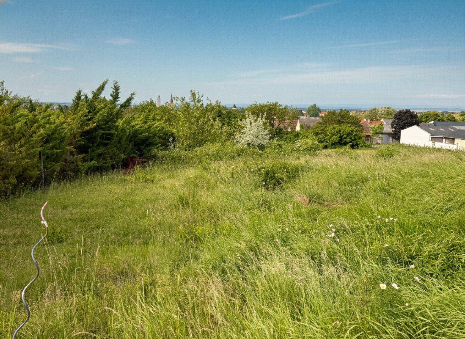 Grünes Grundstück mit Büschen und weitem Blick auf die Landschaft und die Dächer der Häuser in der Ferne.
