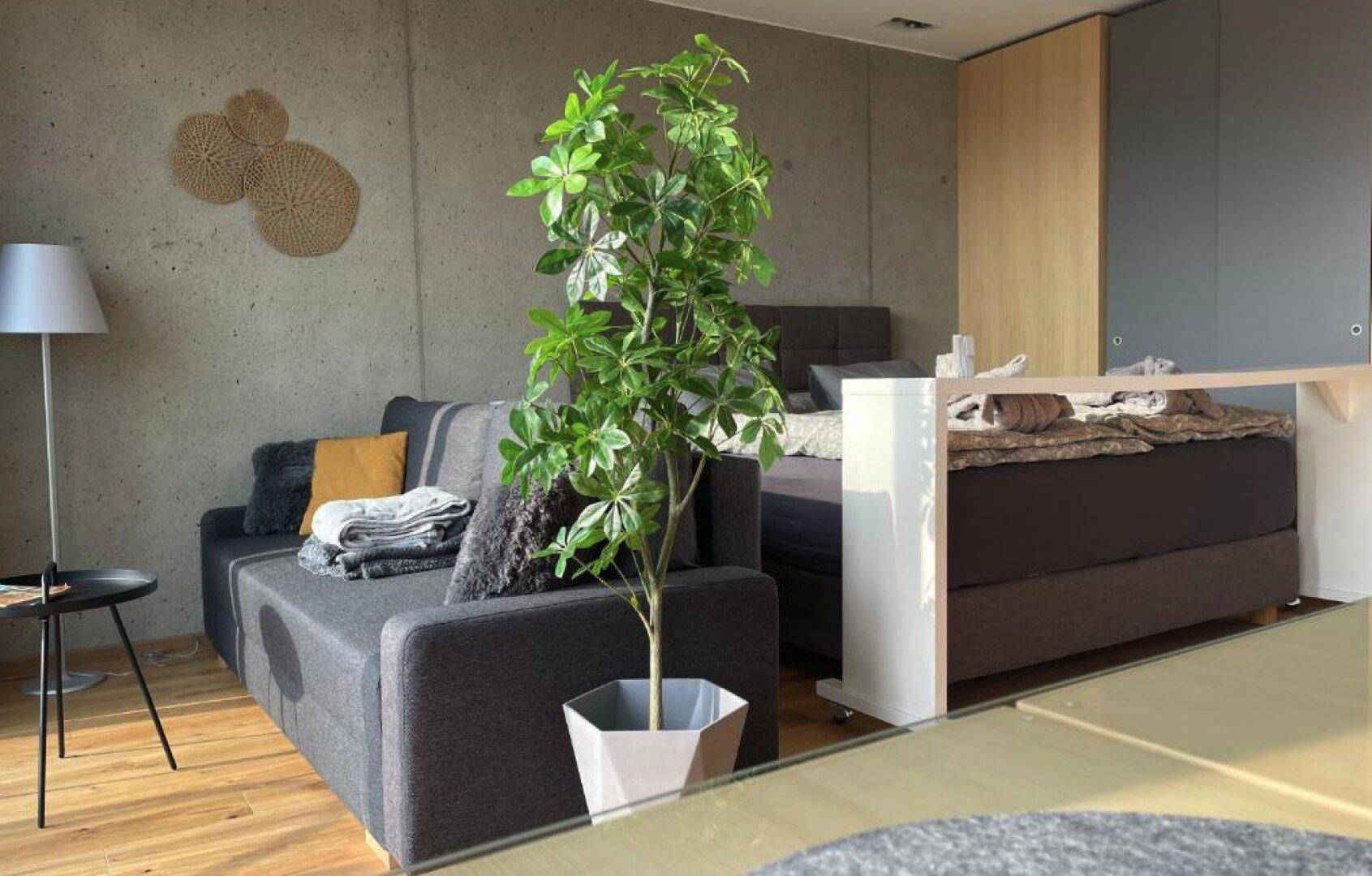 Offener Wohnbereich mit Sofa, Pflanzen und Blick auf die umliegende Landschaft.