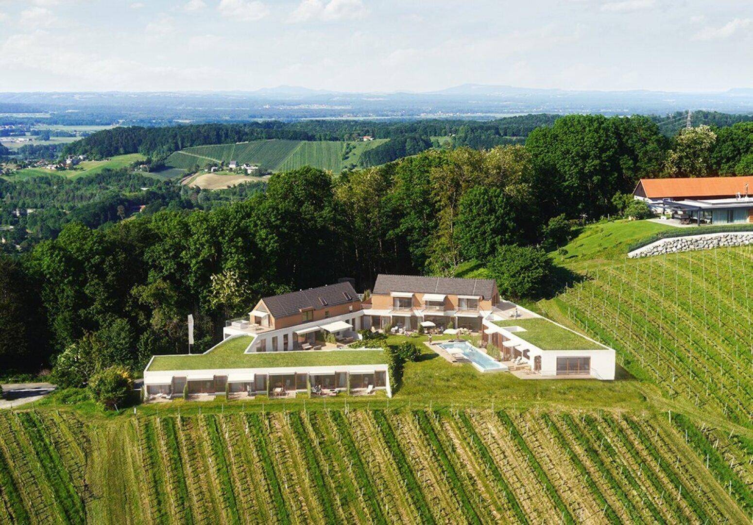Luftaufnahme einer modernen Wohnanlage mit Pools inmitten einer weitläufigen Weinlandschaft.