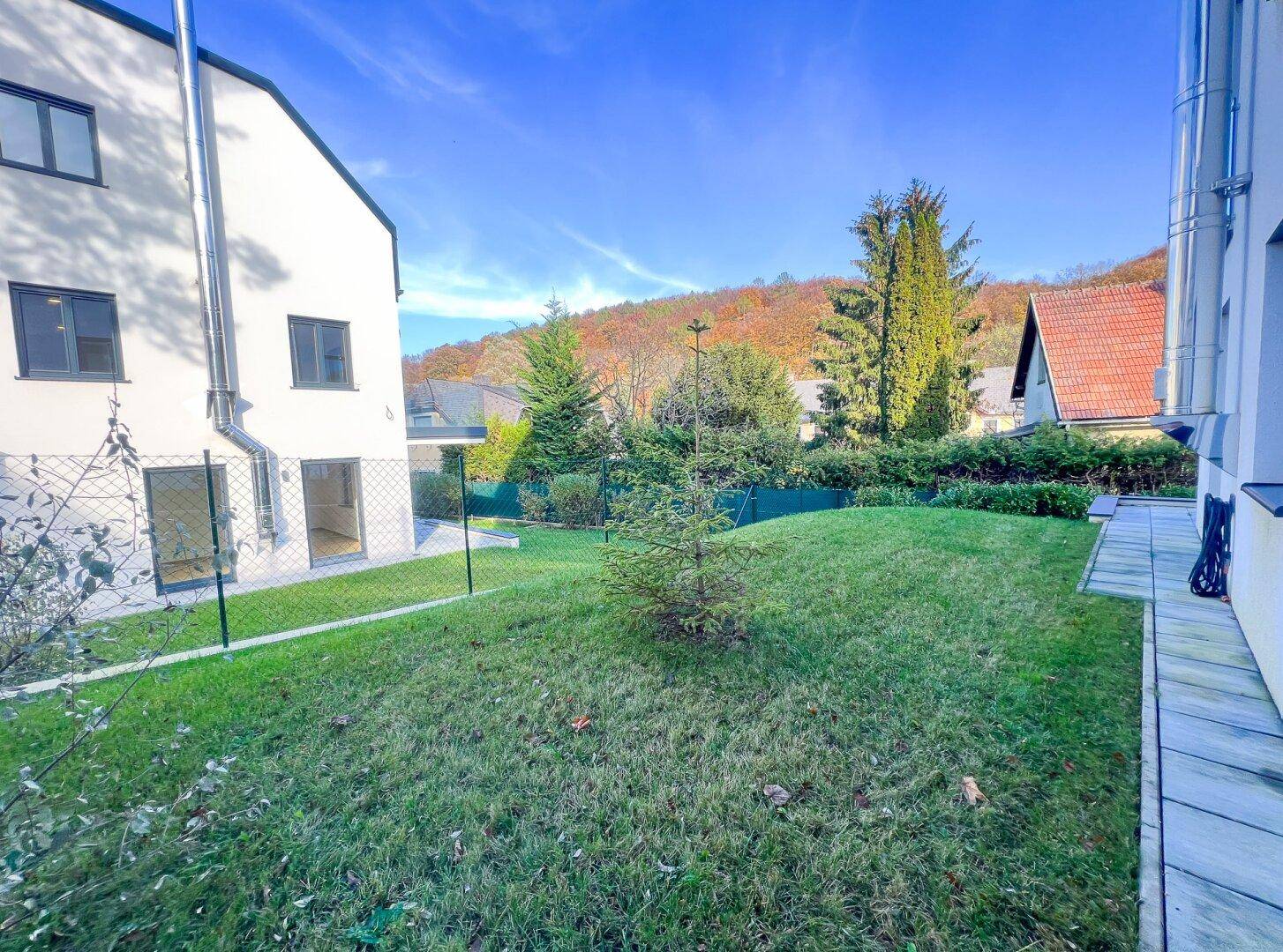 Grüner Gartenbereich mit Rasen und jungem Baum, umgeben von weiteren Gebäuden.