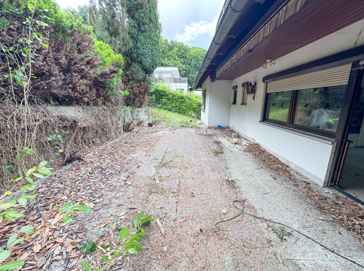 Ungepflegter Außenbereich neben dem Haus mit viel Grün und Potenzial zur Gestaltung.