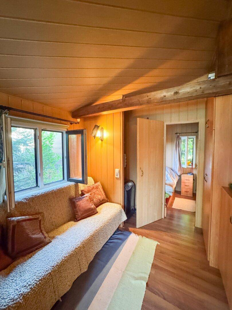 Helles Wohnzimmer mit Schlafsofa, Holzverkleidung und Blick ins Grüne durch das Fenster.