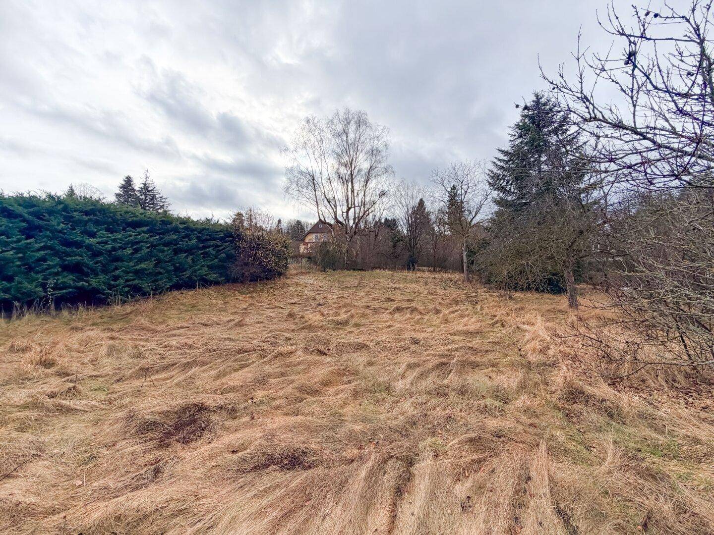 1.198 m² großes Baugrundstück in Grünruhelage im Ortsteil Bartberg beim Wienerwaldsee! 14 Minuten zur Wiener Stadtgrenze! - Ansicht 5