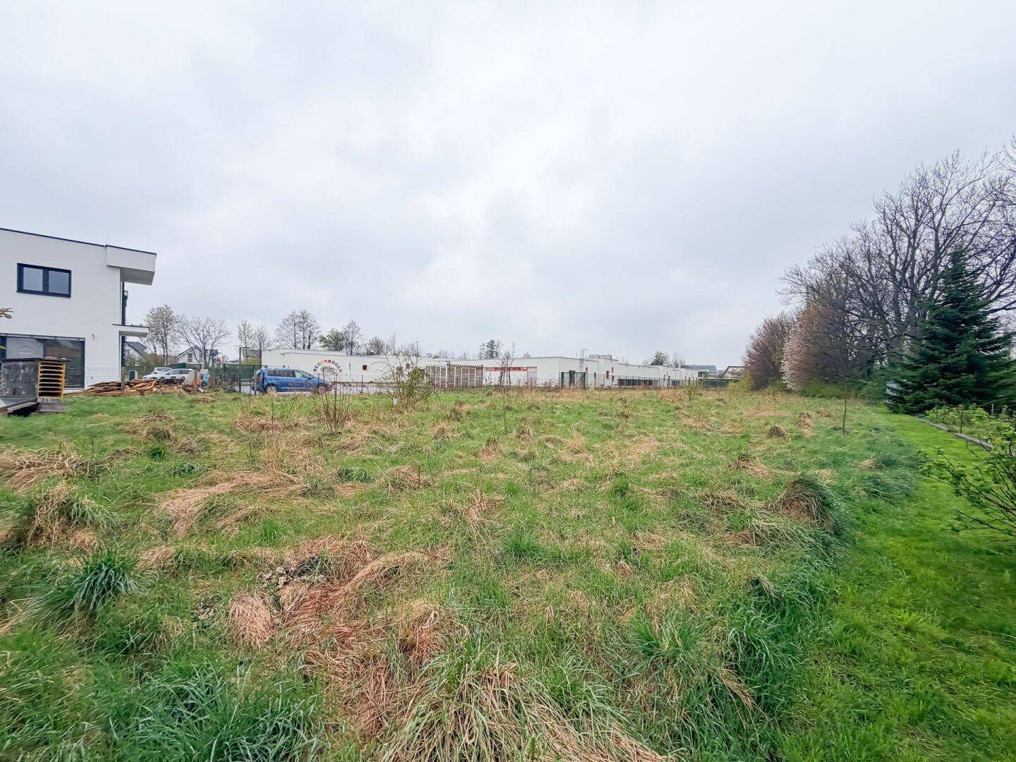 Baugrundstücke in Pottendorf – Ihr Projekt nahe Wien | Doppelhaus möglich! - View 4