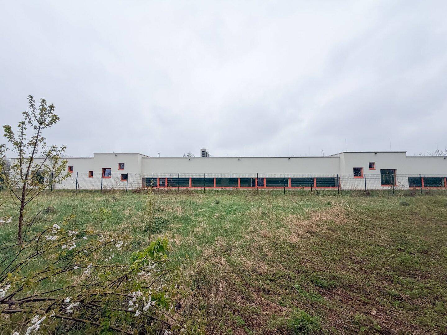 Weitläufiges Grundstück mit Gras und Blick auf die Fassade eines modernen Gebäudes in der Ferne.