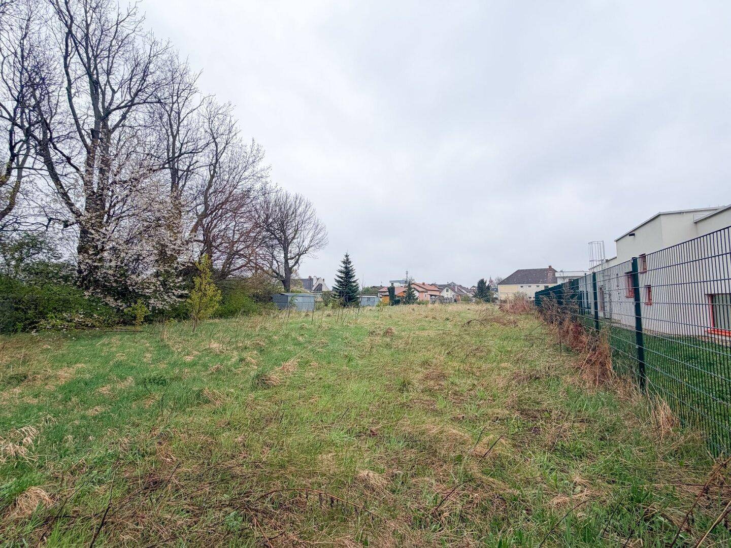 Offenes Grundstück mit Gras, einem Zaun und Blick auf weitere Gebäude in der Umgebung.