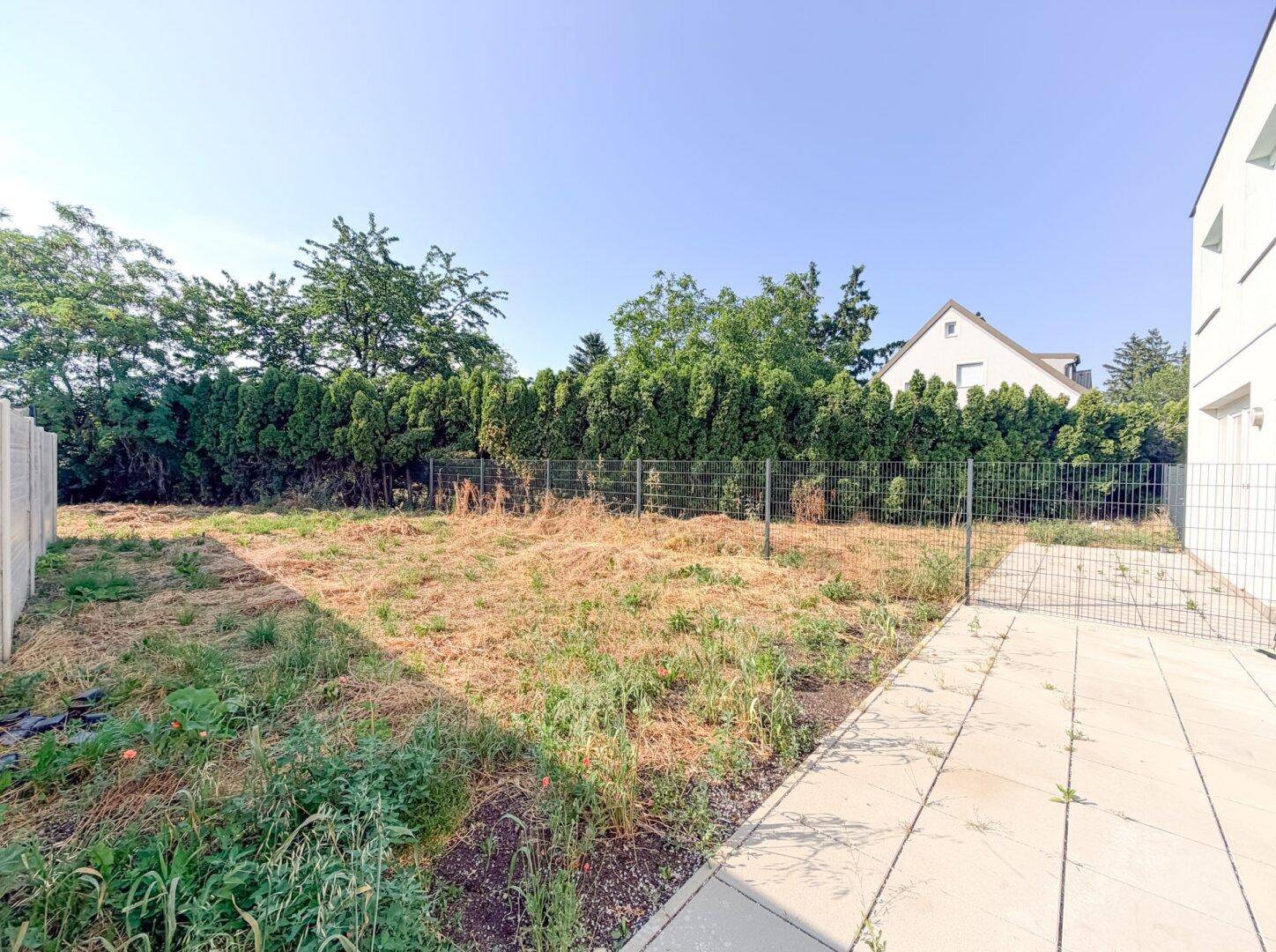 Ungepflegter Gartenbereich mit einer gepflasterten Terrasse und einer hohen Hecke im Hintergrund.