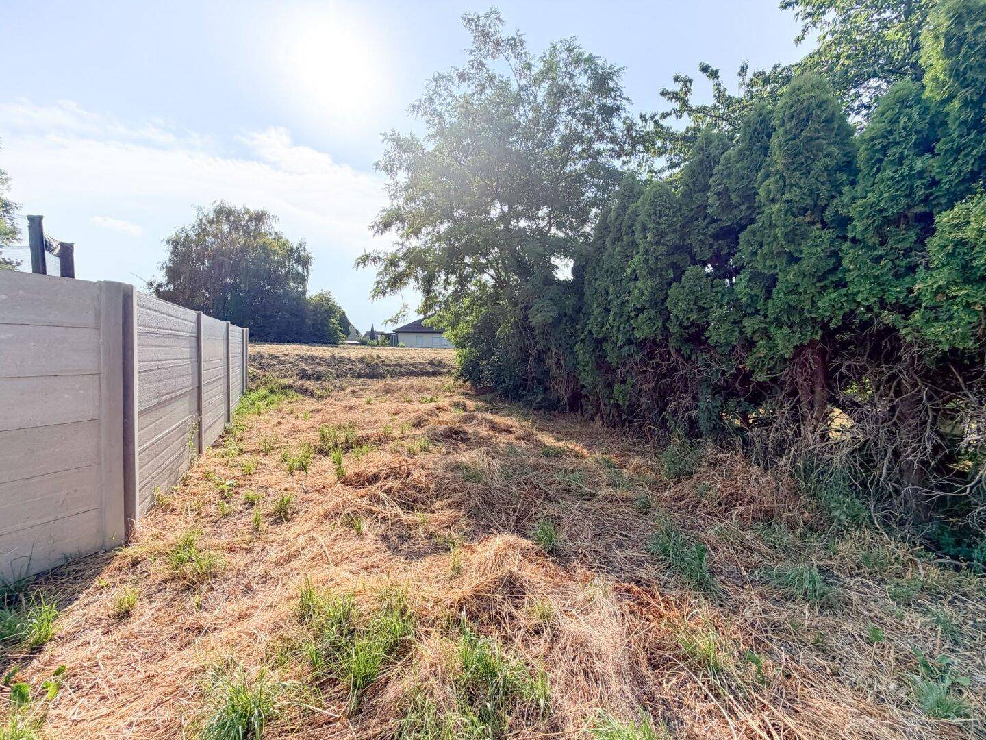 Großer, sonniger Gartenbereich mit viel Potenzial zur Gestaltung und umgeben von einer Hecke.
