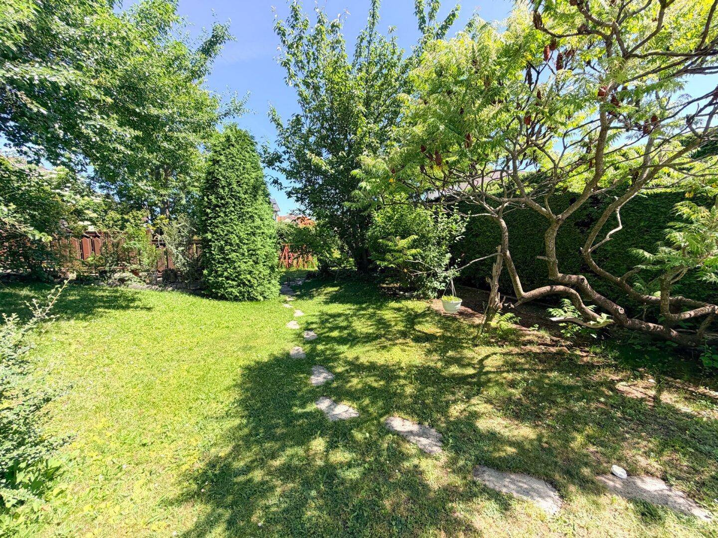 Gepflegter Gartenbereich mit Trittsteinen, umgeben von verschiedenen Bäumen und Sträuchern unter blauem Himmel.