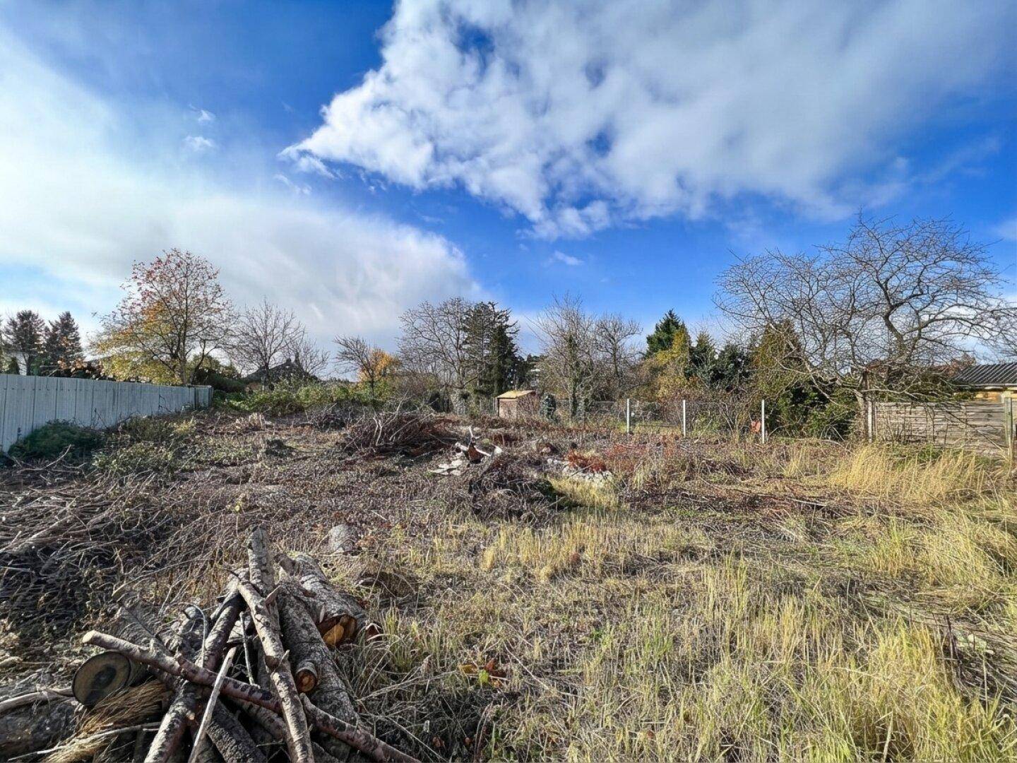 Weitläufiges Grundstück mit Holzstapeln und Bäumen unter strahlend blauem Himmel.
