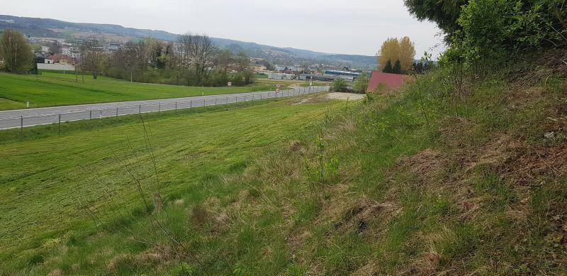 Grüner Hang mit Blick auf eine Straße und die weite Landschaft mit vereinzelten Gebäuden.