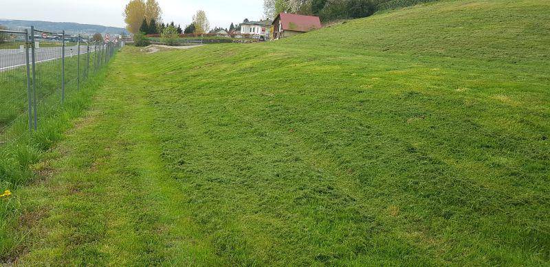 Langer, gemähter Rasenstreifen entlang eines Zauns mit Blick auf die ländliche Umgebung.