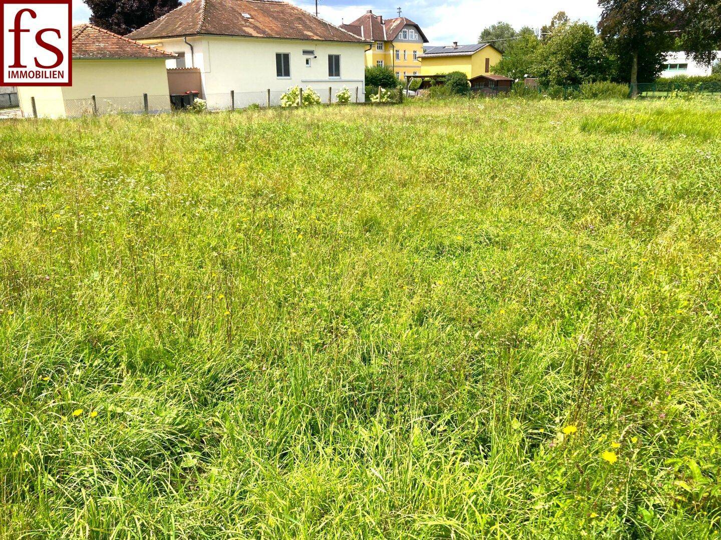 Großes, grünes Grundstück mit Wiesenfläche und angrenzenden Wohnhäusern im Hintergrund.
