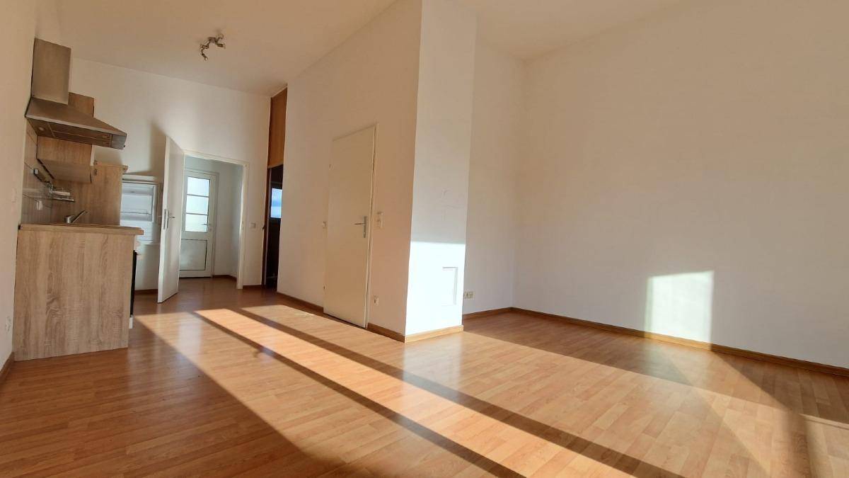 WhatsApp Image 2025-10-13 zat 12.51.27