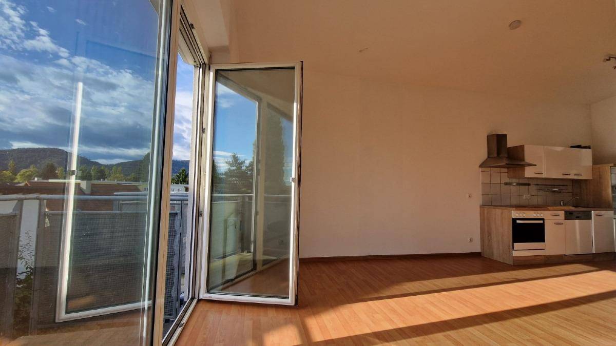 WhatsApp Image 2025-10-13 atj 12.51.27