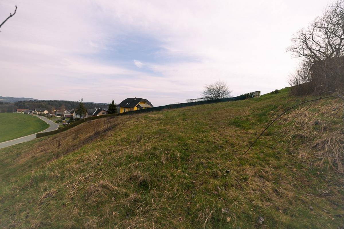 Grüner Hang mit Blick auf eine Siedlung mit Häusern und einer Straße in der Ferne.