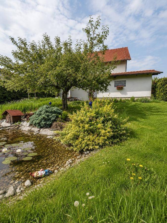 Gartenansicht mit Teich, üppiger Vegetation und dem Haus im Hintergrund unter bewölktem Himmel.