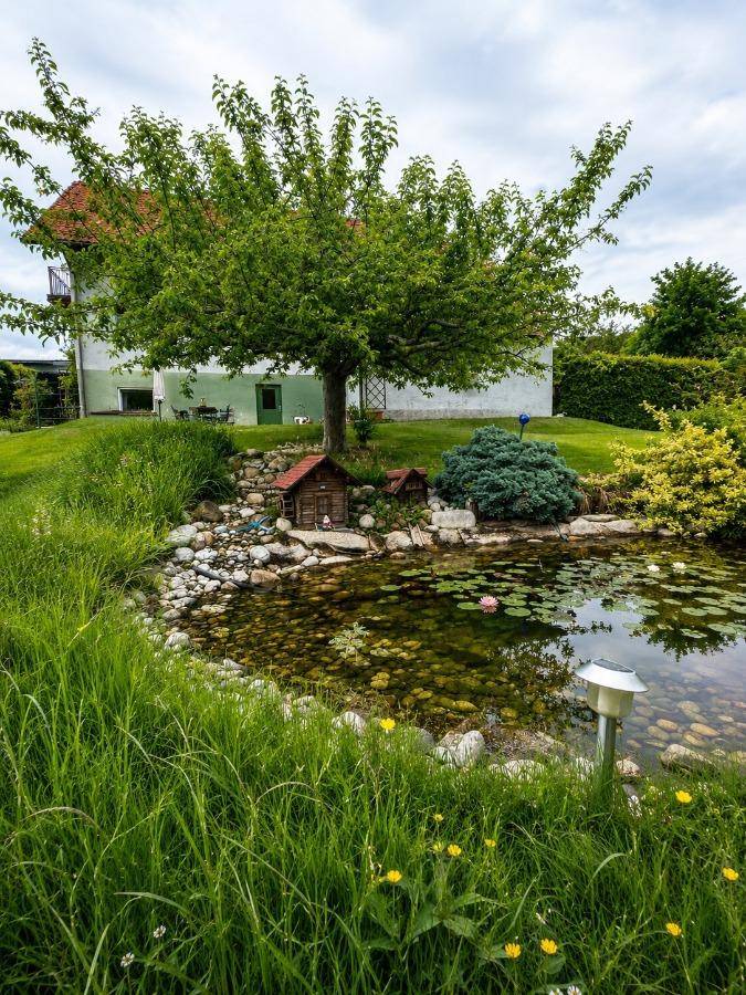 Idyllischer Gartenteich mit Seerosen und einem Baum vor dem Haus in ländlicher Umgebung.
