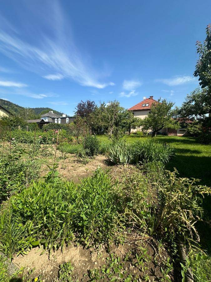Hier beginnt Ihr neues Kapitel im Grünen: Wohnen, wo Obstbäume blühen und Wohnträume wachsen - Ansicht 4