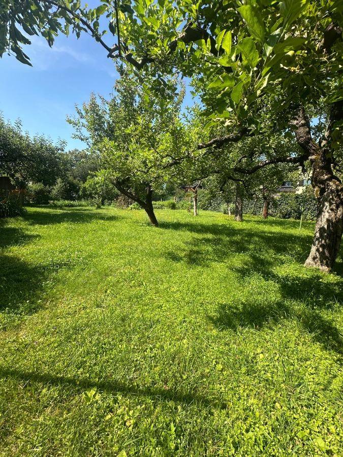 Hier beginnt Ihr neues Kapitel im Grünen: Wohnen, wo Obstbäume blühen und Wohnträume wachsen - Ansicht 2