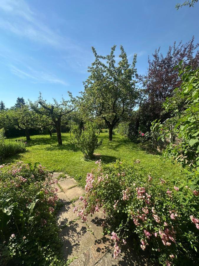 Hier beginnt Ihr neues Kapitel im Grünen: Wohnen, wo Obstbäume blühen und Wohnträume wachsen - Ansicht 3