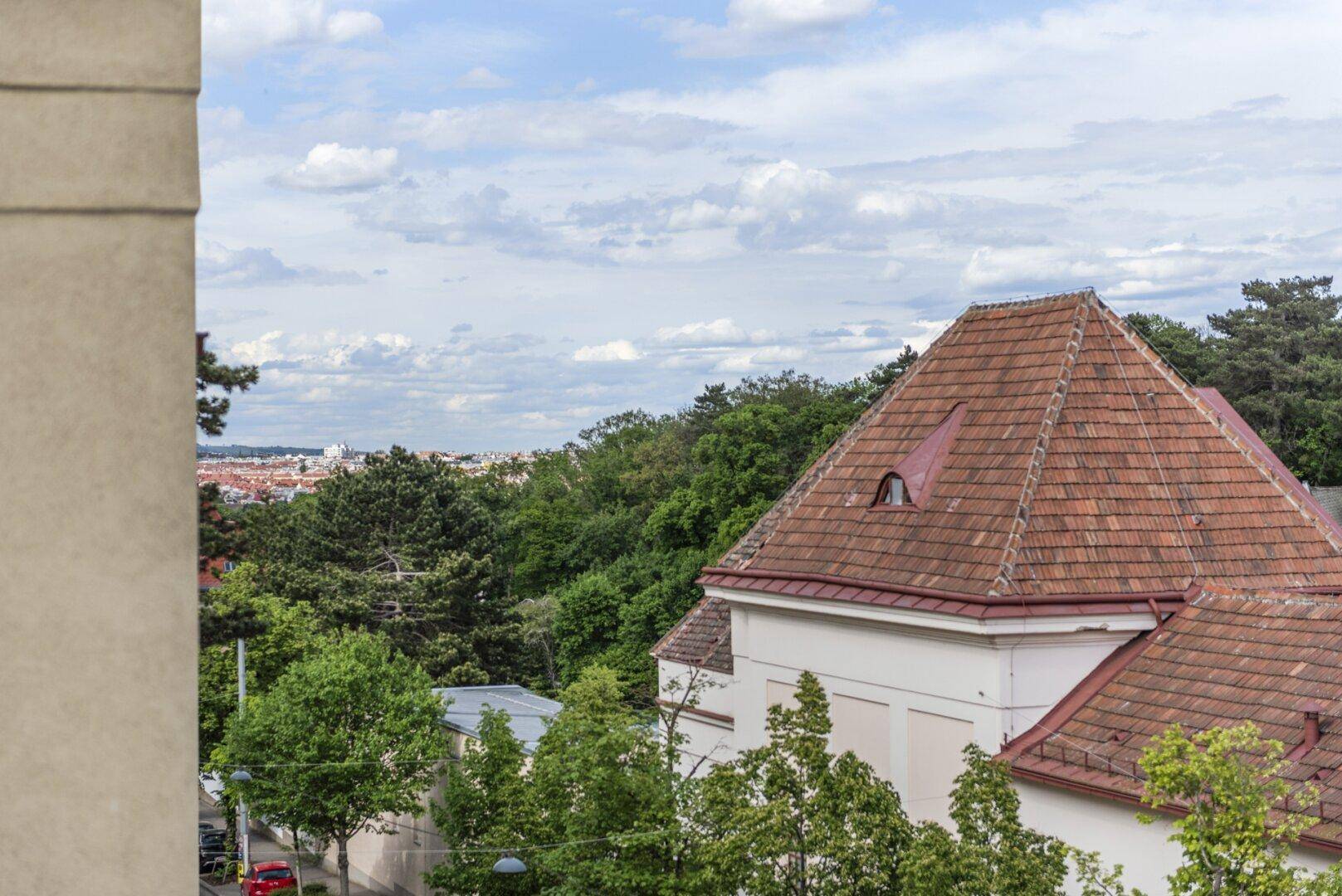 Weitläufiger Blick über grüne Baumwipfel und Dächer bis zur Stadt am Horizont.