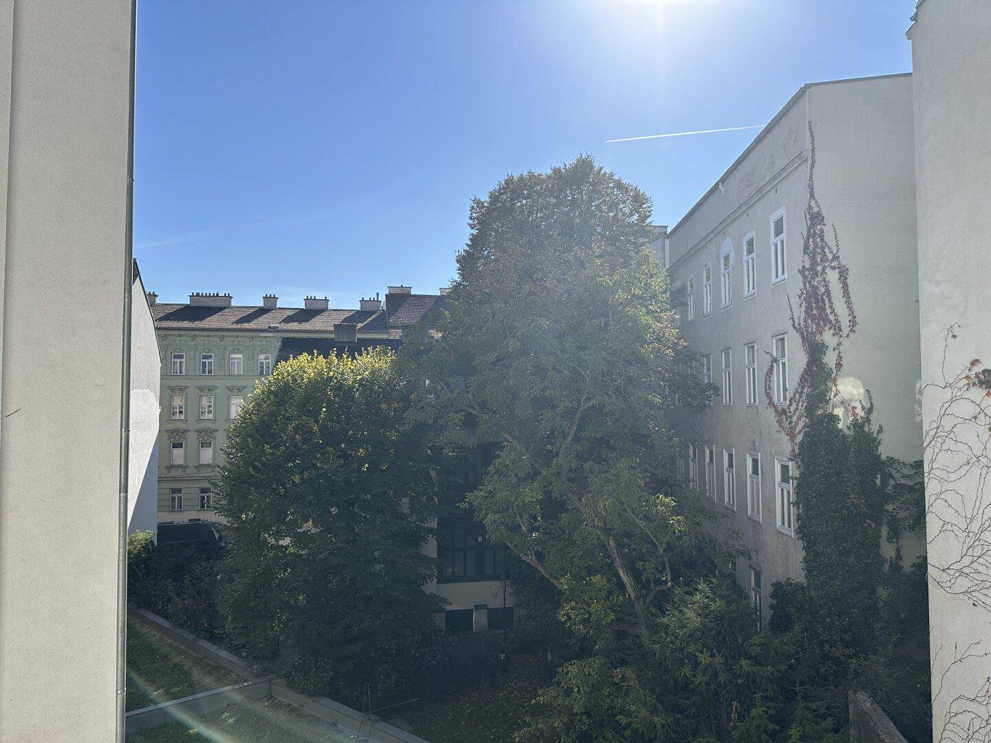 Ausblick aus dem Fenster auf einen grünen Innenhof mit hohen Bäumen und historischen Gebäuden.