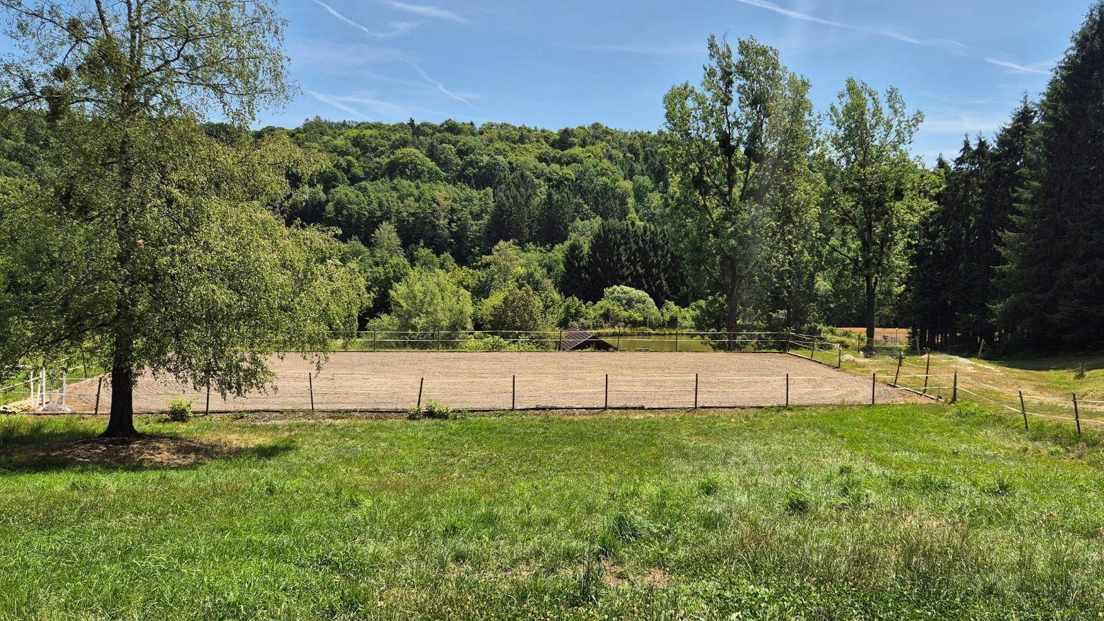 Reitplatz umgeben von grünen Wiesen und dichtem Wald unter blauem Himmel.