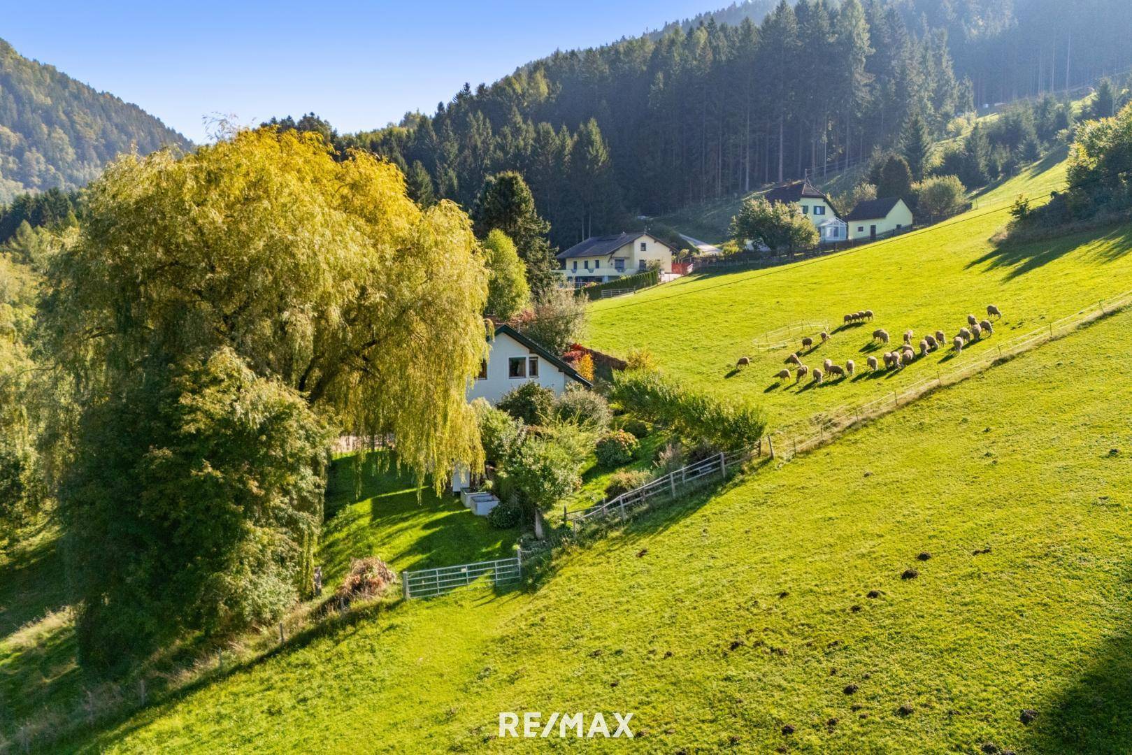 Haus samt Grundstück