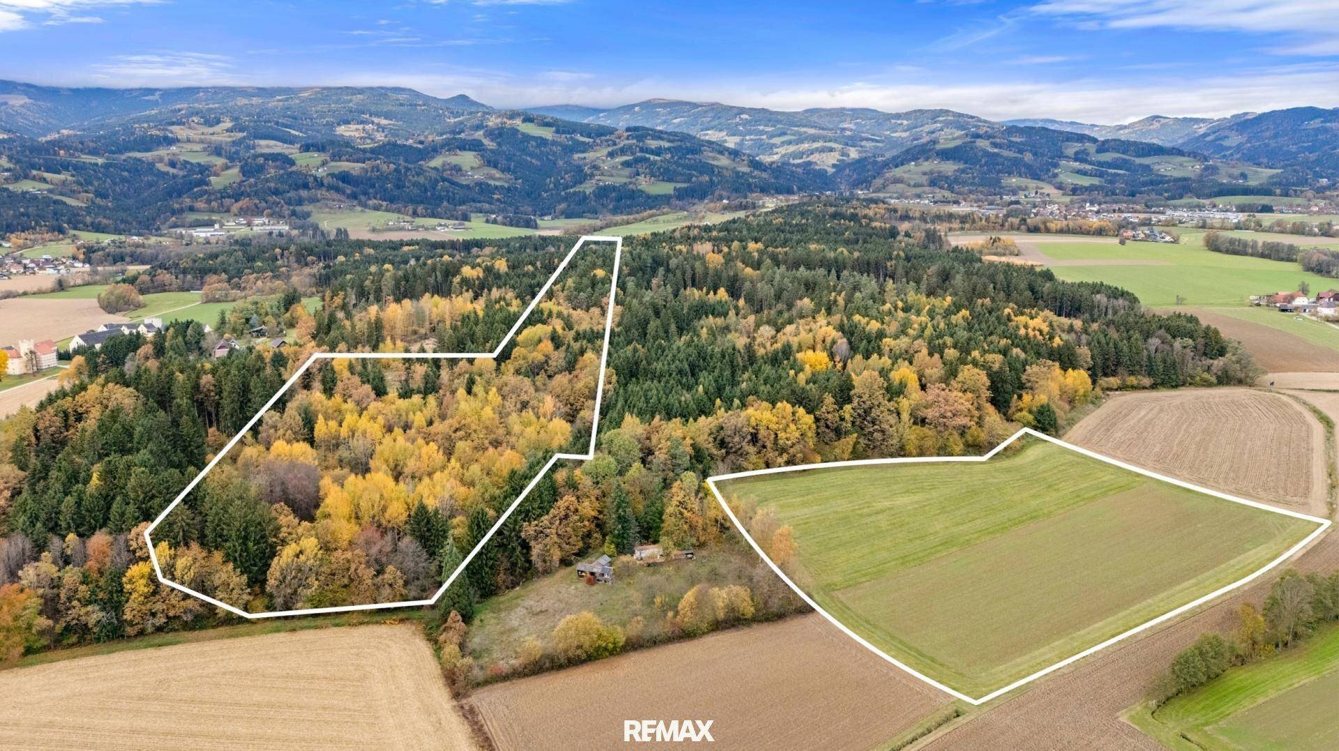 Luftaufnahme von Wald- und Feldflächen mit markierten Grundstücksgrenzen in einer hügeligen Landschaft.
