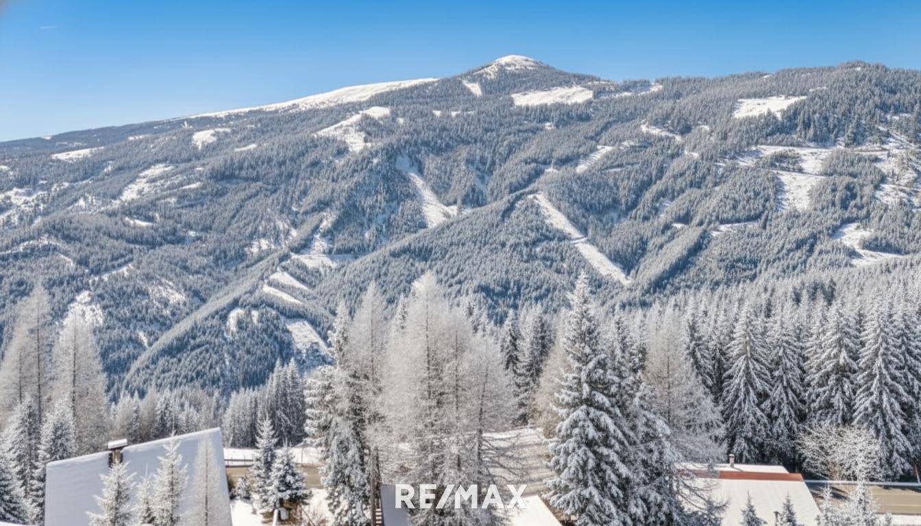 Panoramablick auf die weite, schneebedeckte Berglandschaft mit dichten Wäldern unter strahlend blauem Himmel.