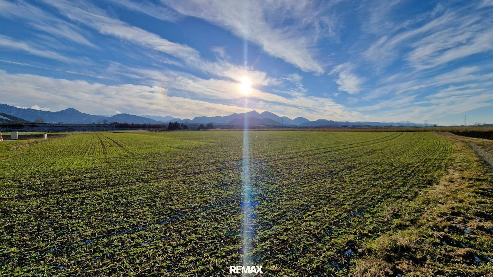 Sonniges Feld mit frischer Vegetation und beeindruckendem Bergpanorama am Horizont.