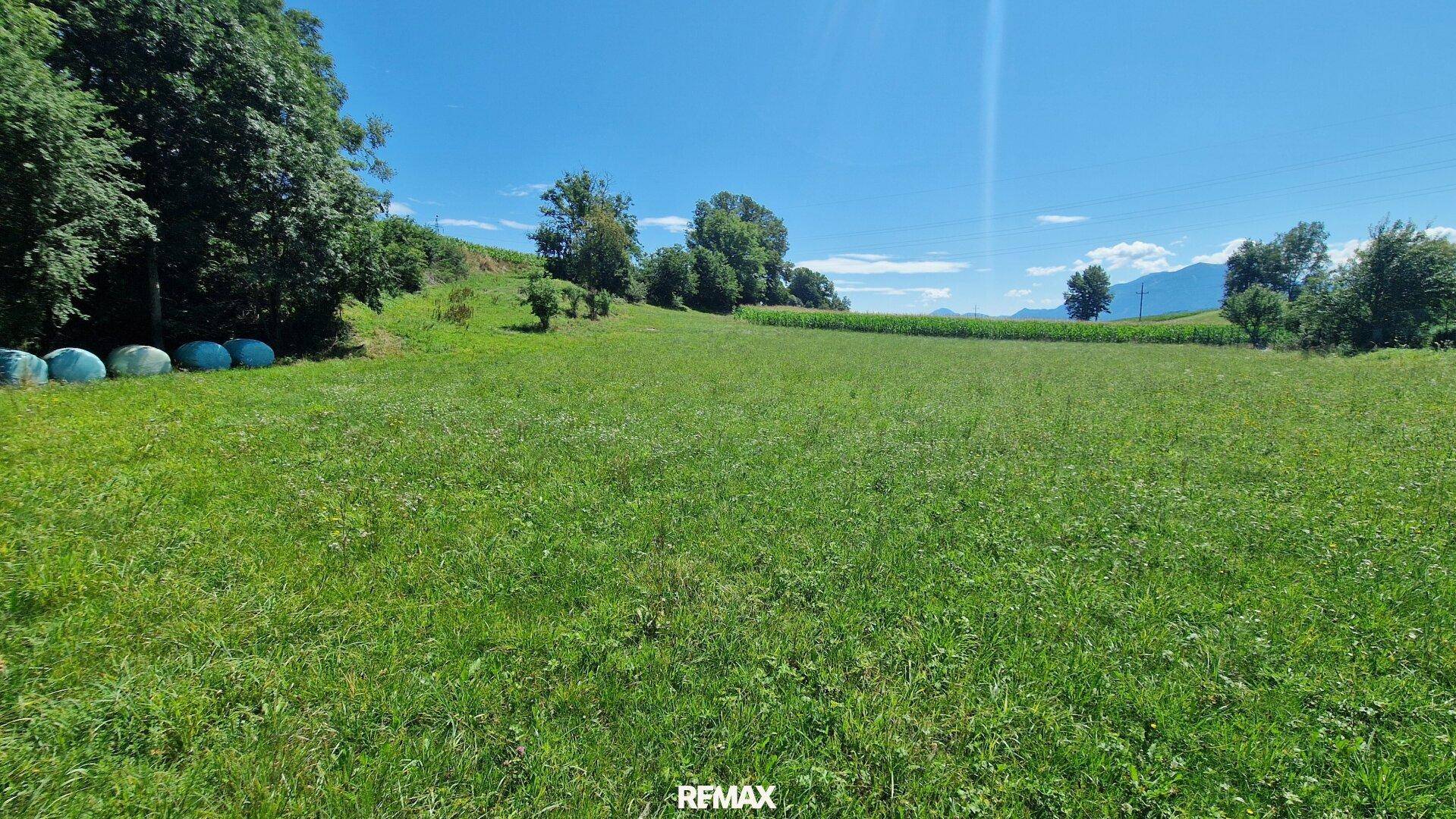 Ausgedehnte grüne Wiesenfläche mit Bäumen und landwirtschaftlichen Elementen unter klarem Himmel.
