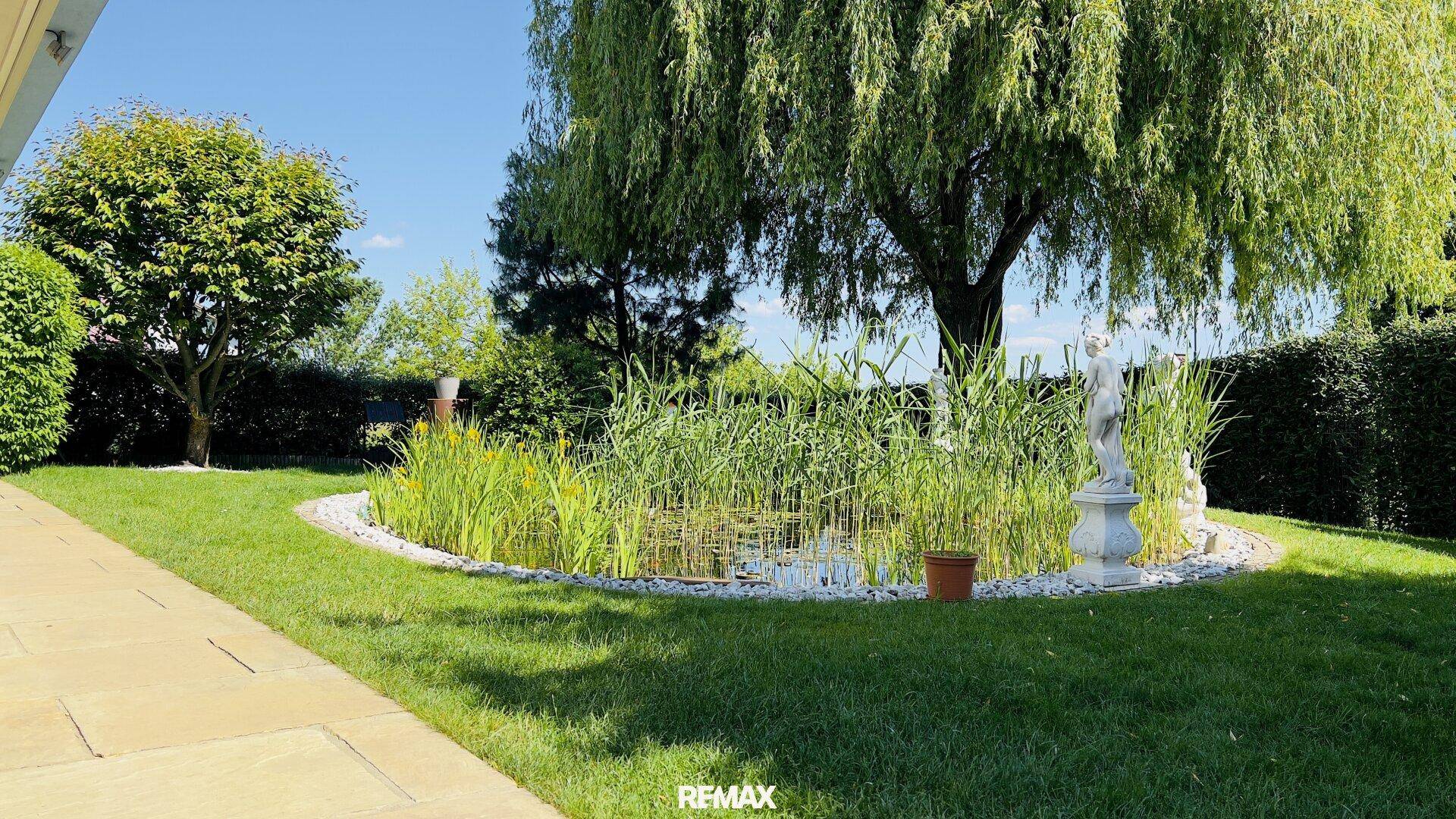 Sonniger Garten mit großem Teich, Rasenfläche und Weidenbaum.