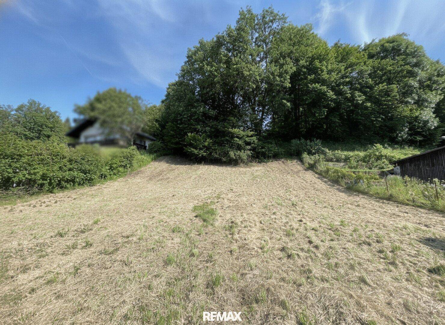 Weitläufiges Grundstück mit gemähter Wiese und altem Baumbestand unter blauem Himmel.