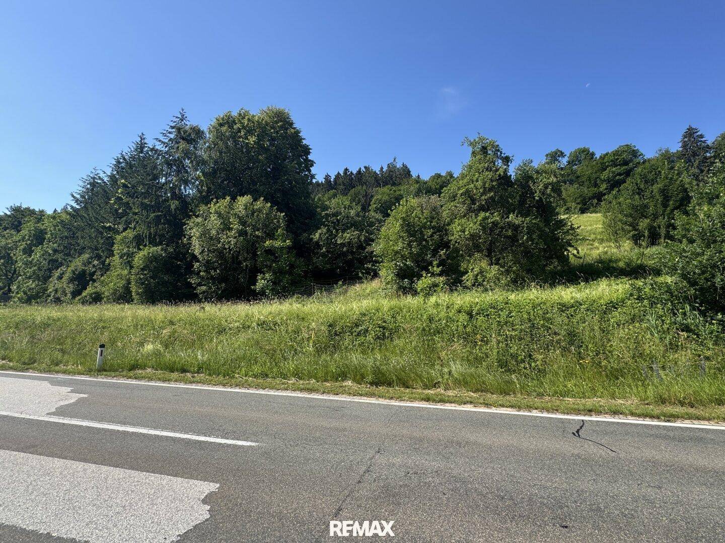 Grüne Landschaft mit bewaldetem Hügel und Straße unter klarem, blauem Himmel.