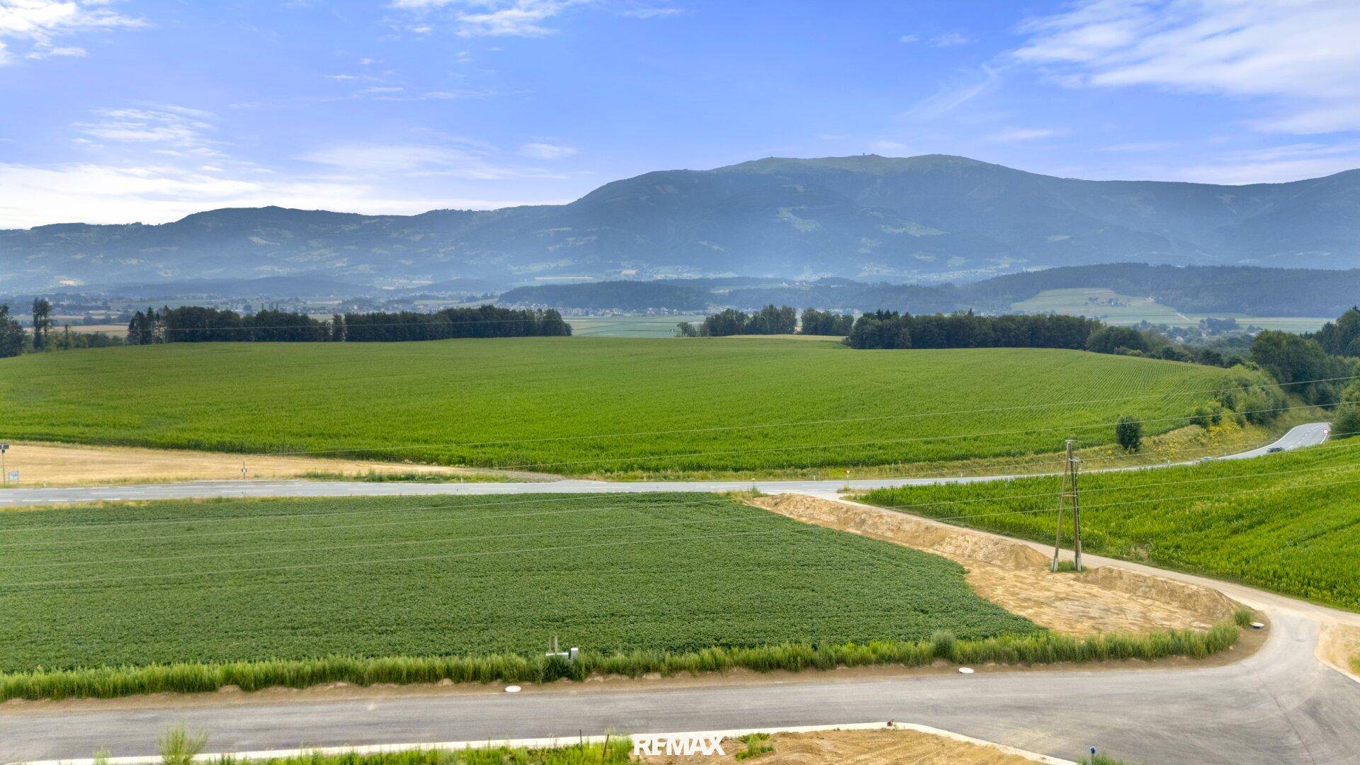 Weitläufige grüne Felder mit einer Straße und majestätischen Bergen im Hintergrund unter blauem Himmel.
