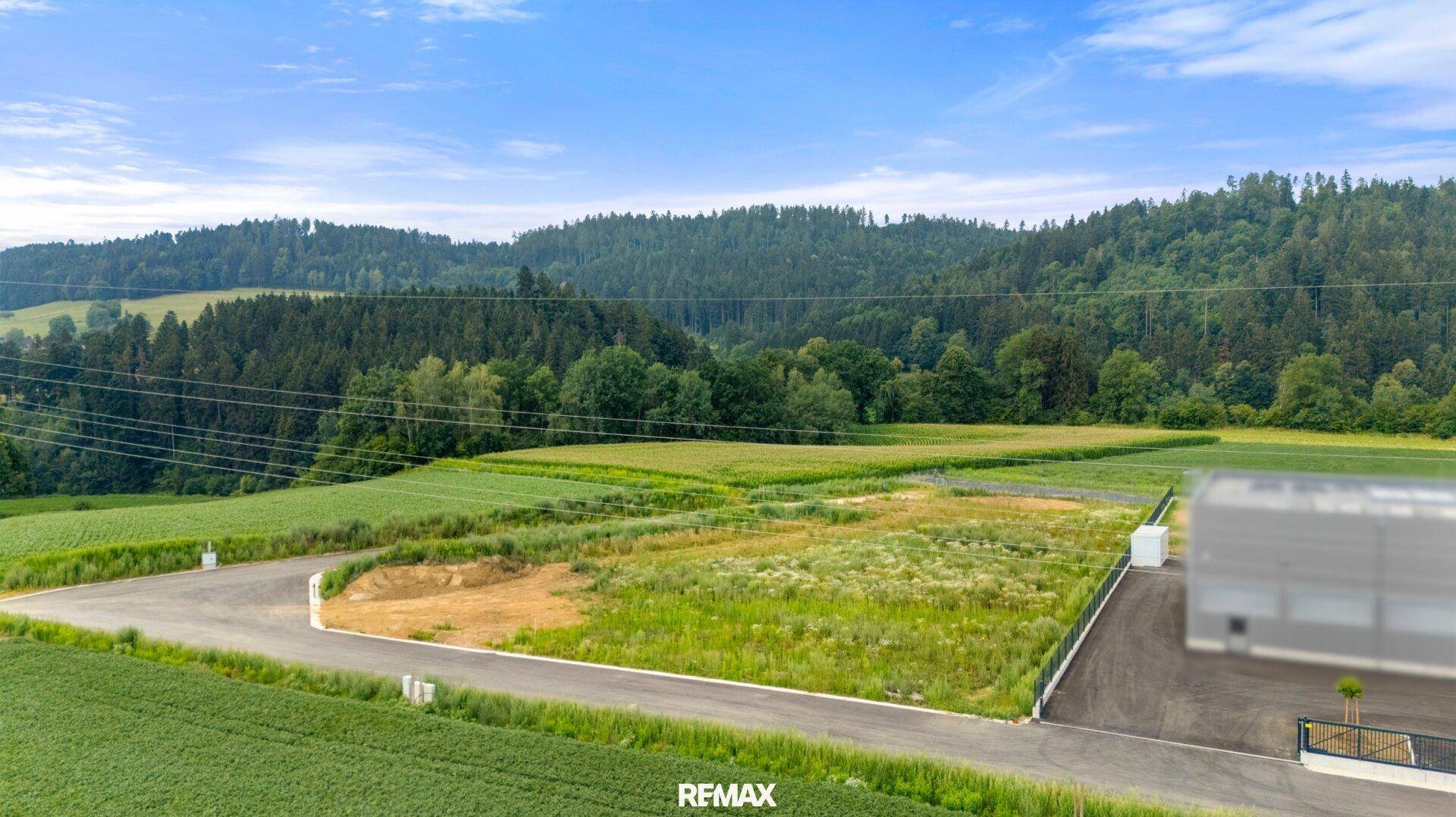 Panoramablick auf eine ländliche Gegend mit weiten grünen Feldern, einer Zufahrtsstraße und bewaldeten Bergen am Horizont.