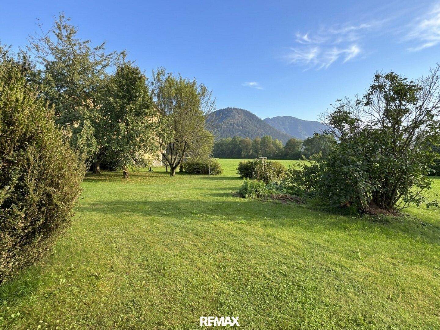 Weitläufige grüne Landschaft mit Wiesen und majestätischen Bergen im Hintergrund unter blauem Himmel.