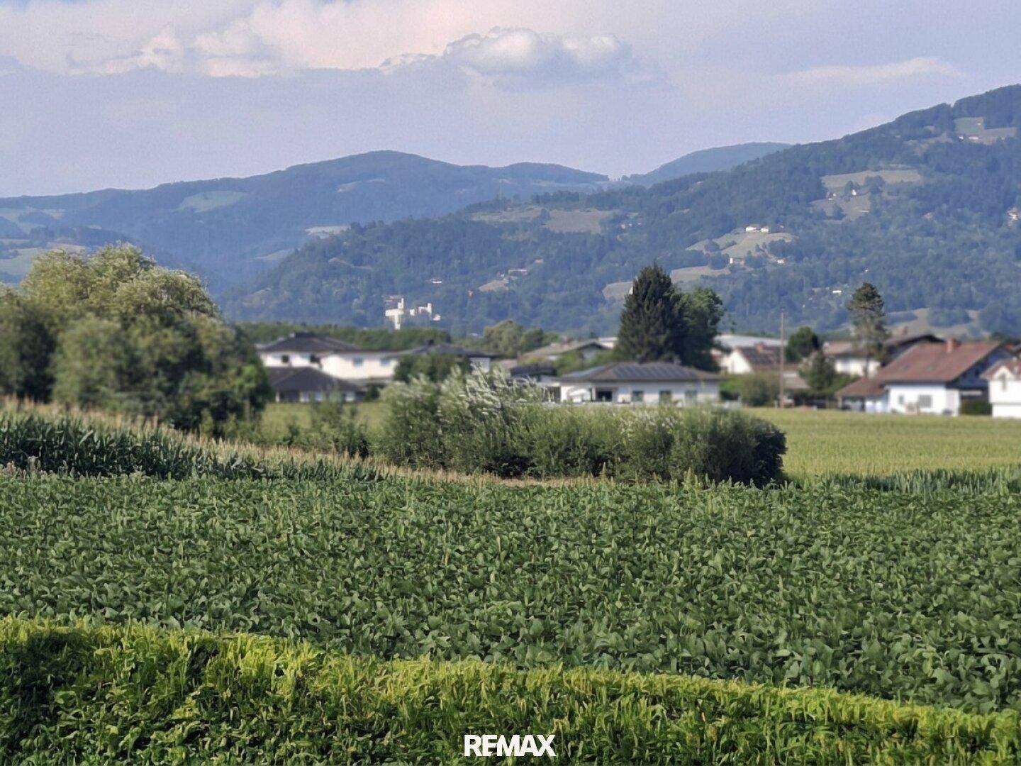 Weitläufiger Blick über grüne Felder und sanfte Hügel mit Bergen im Hintergrund.