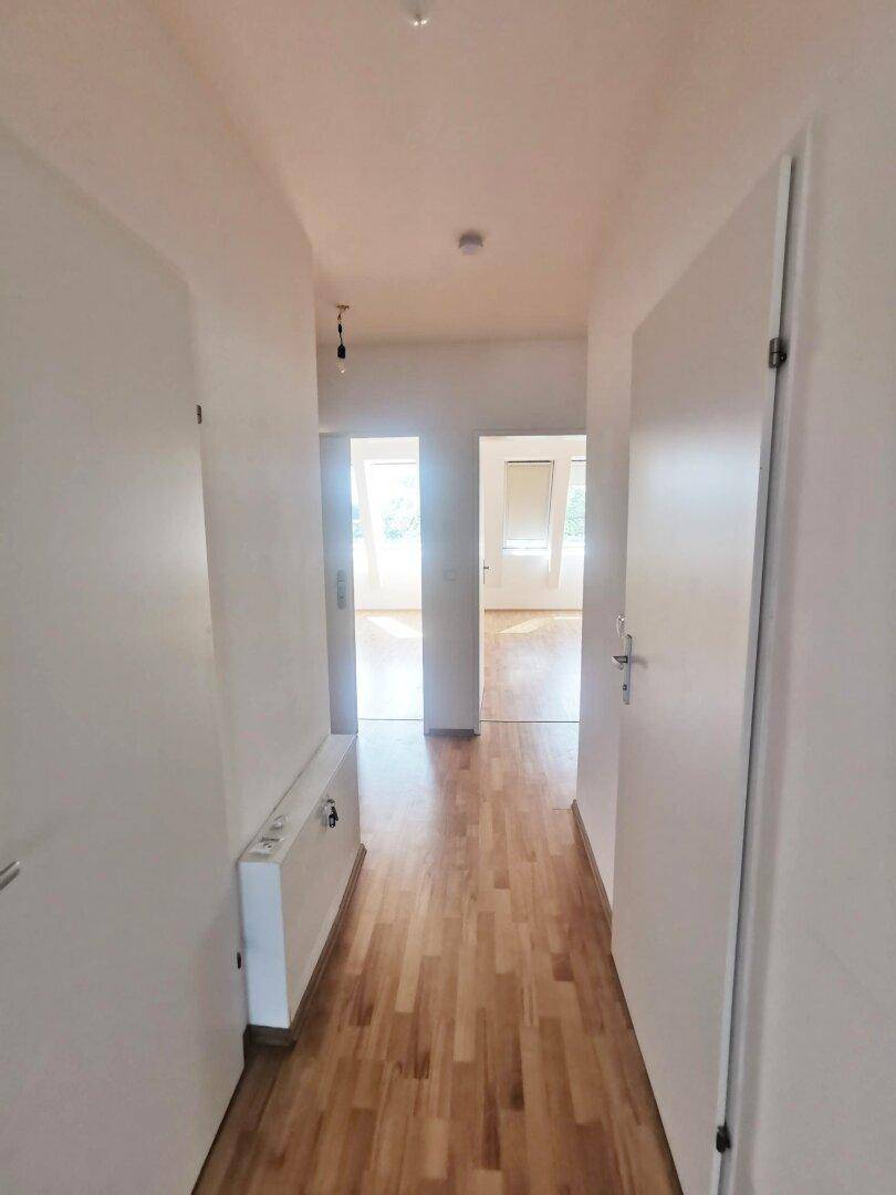 Geräumiger Flur mit Holzboden und weiß gestrichenen Wänden, gut beleuchtet.