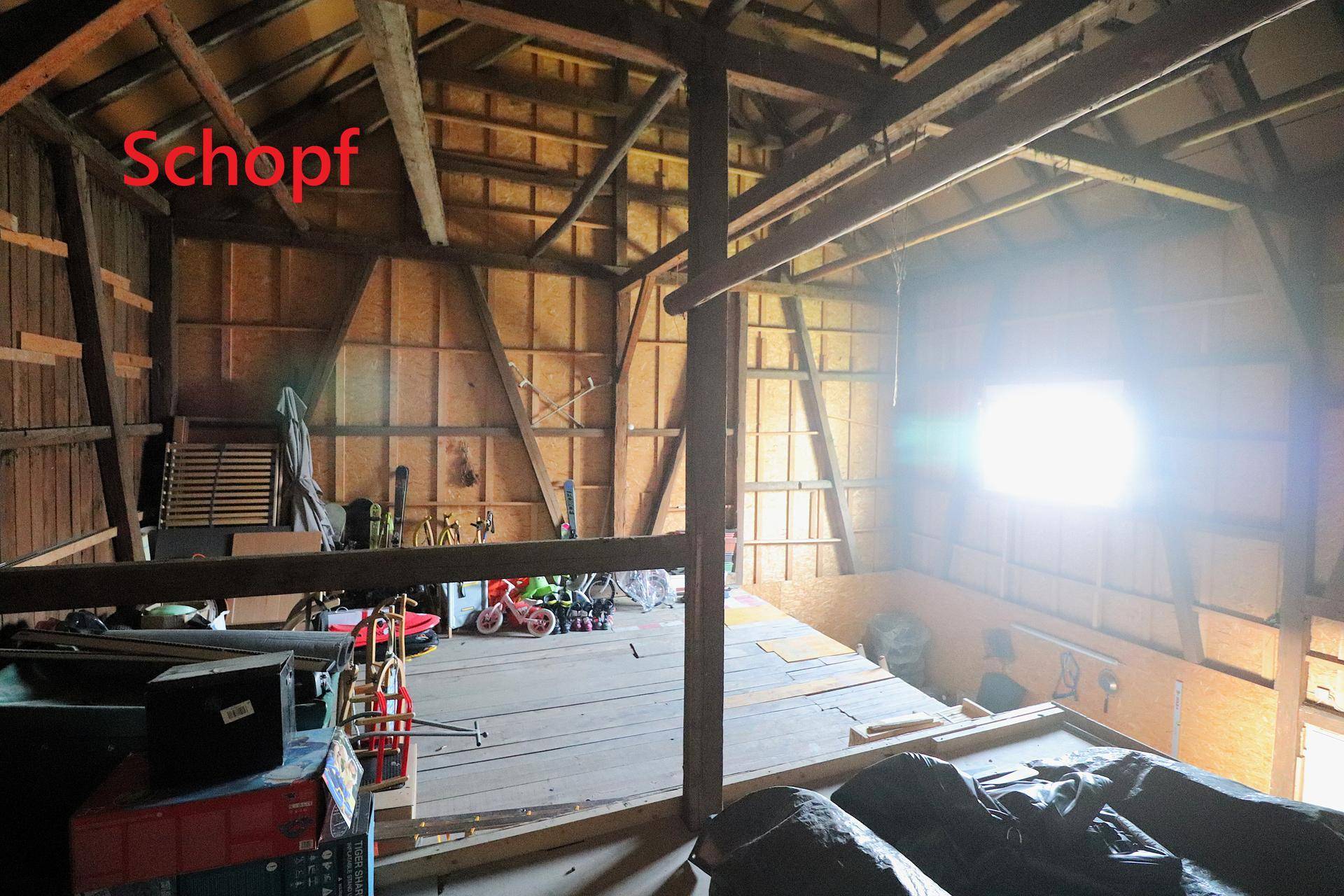 Heller Schopf mit Holzwänden, sichtbaren Balken und viel Tageslicht durch ein Fenster.