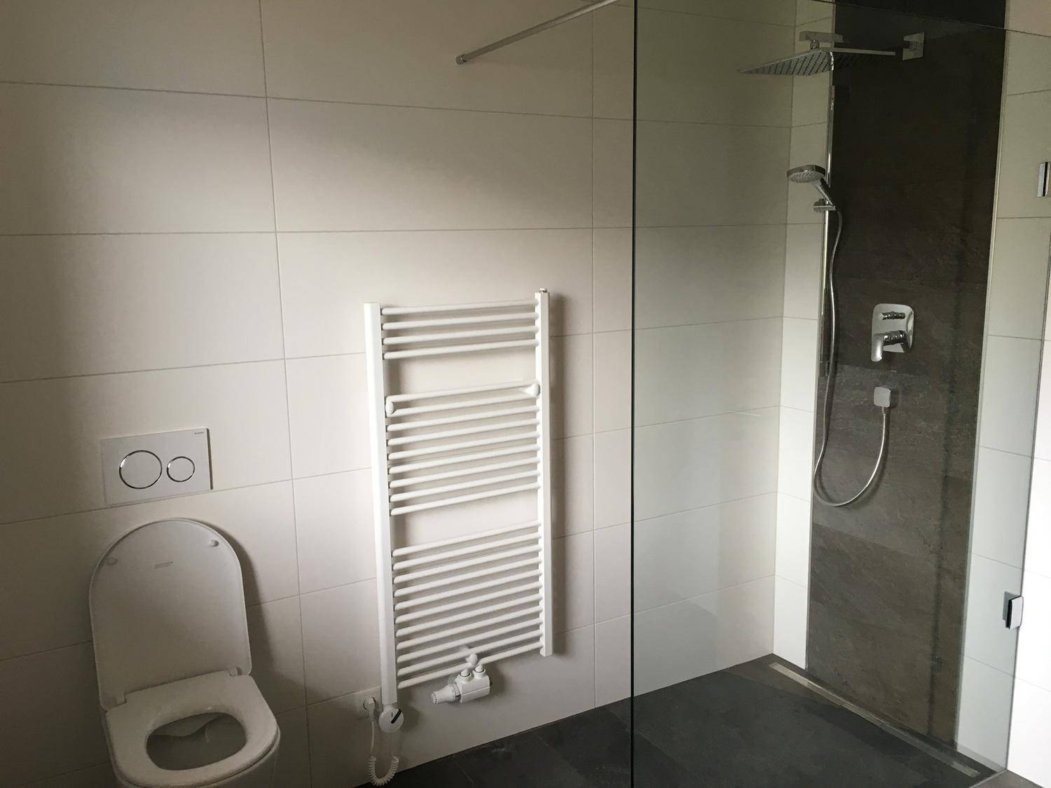 Geräumige, moderne Dusche mit Regenduschkopf und wandhängendem WC in hellem Badezimmer.