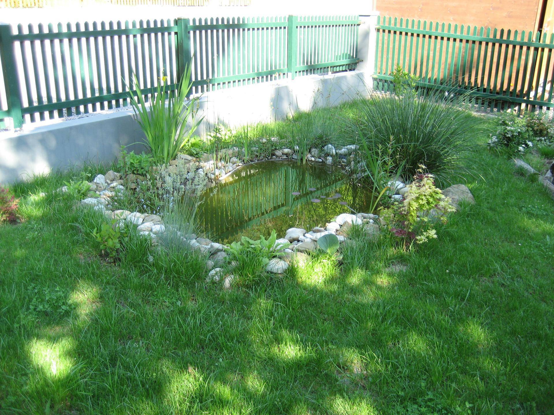 Idyllischer Gartenteich mit Steinen und Wasserpflanzen, umgeben von grünem Rasen und Zaun.