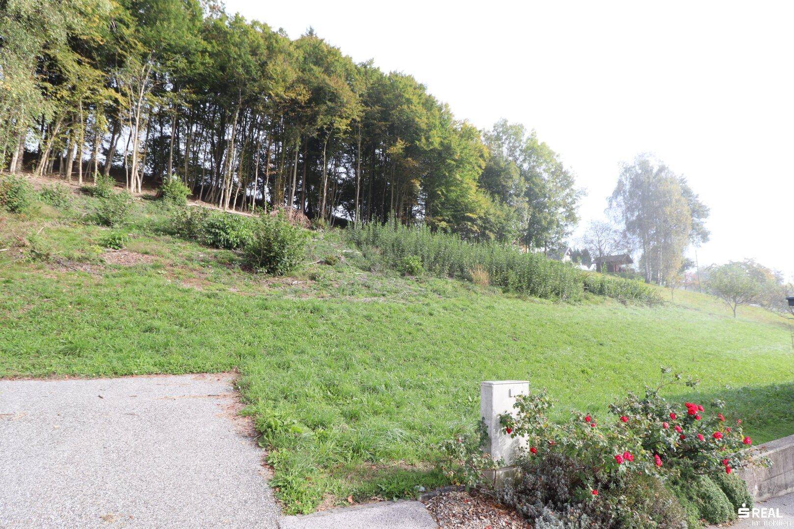 Baugrundstück mit traumhafter Aussicht in Ludmannsdorf zu verkaufen! - Ansicht 2